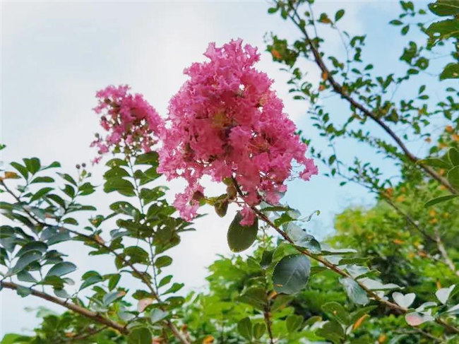 呼吸鮮氧，踐行公益——廣東博皓公益活動(dòng)：星溪線公益環(huán)?；顒?dòng)   -5