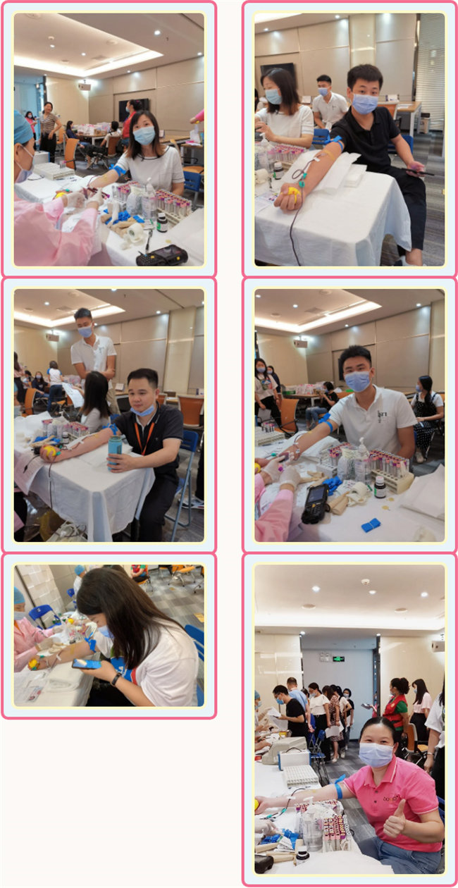 捐獻(xiàn)青春熱血，彩繪人生畫卷——廣東博皓總班委組織了一次“捐我熱血，呵護(hù)生命”的無償獻(xiàn)血公益活動    -3